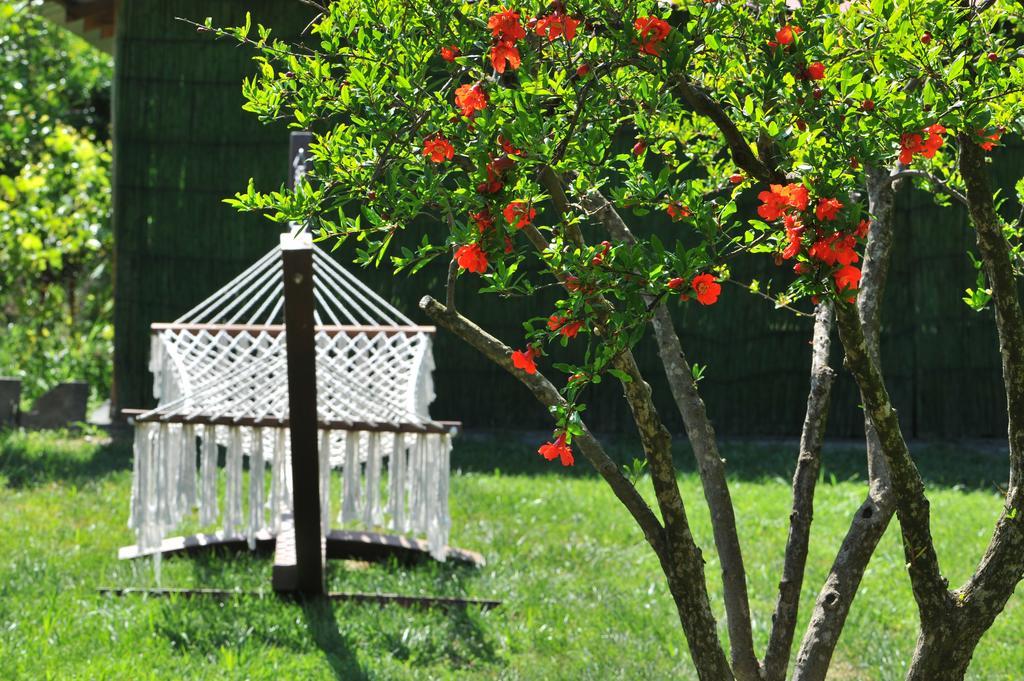 Grenadine Lodge Dalyan Esterno foto
